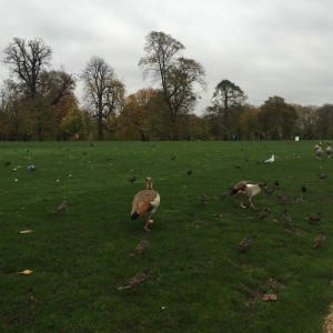 Regent's Park