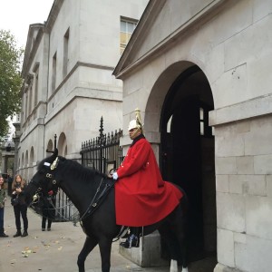 horse guard