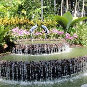 NATIONAL ORCHID GARDEN1