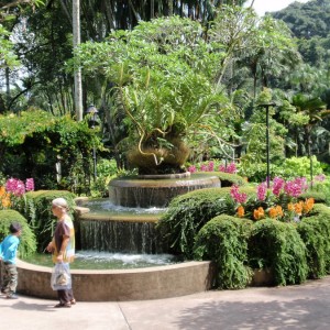 NATIONAL ORCHID GARDEN2