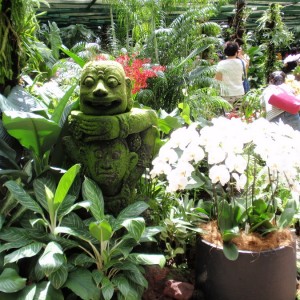 NATIONAL ORCHID GARDEN3