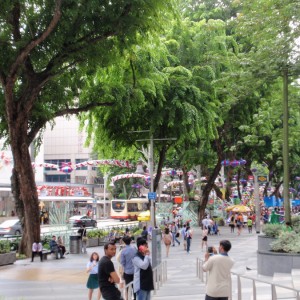 ORCHARD ROAD1