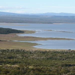 PC310982
