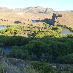 P1060558
