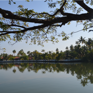 Κέραλα Backwaters