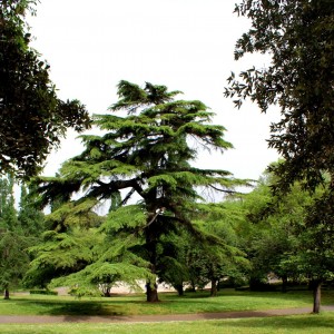 Villa Borghese's park