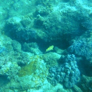 DSCF1185a