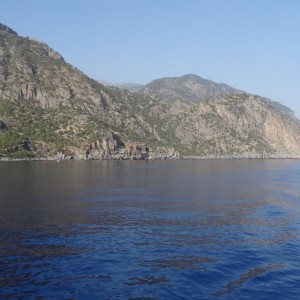 DSC08791