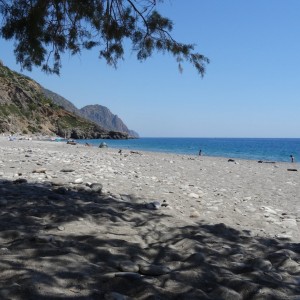 Σούγια