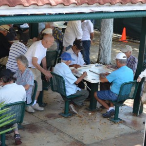 Μαϊάμι (299)