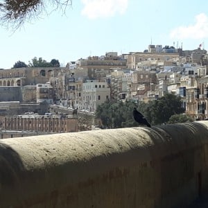 20160327_144950