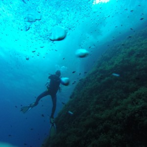 Inland Sea (Gozo)