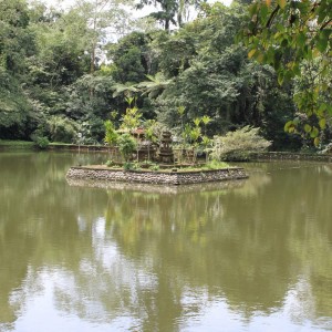 IMG_6035