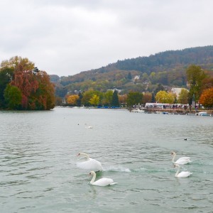 'H λίμνη των κύκνων΄, Annecy
