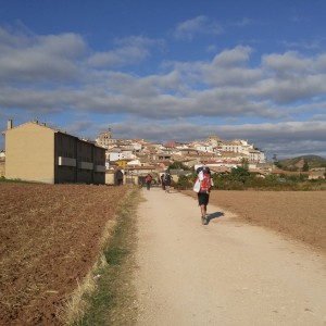 Camino De Santiago