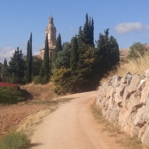 Camino De Santiago