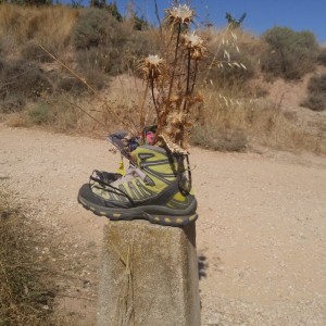 Camino De Santiago