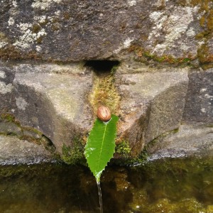 Camino De Santiago