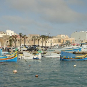 DSC02866