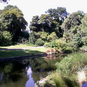 Royal Botanic Gardens 2