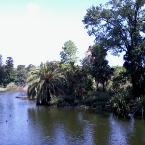 Royal Botanic Gardens 3