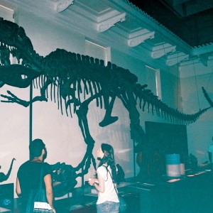 Australian Museum - Τυρανόσαυρος