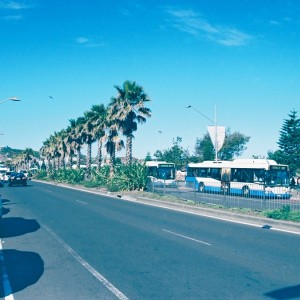 Bondi Beach - Παραλιακός Δρόμος