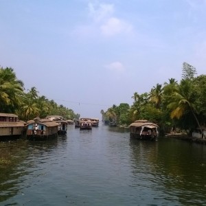 ALLEPPEY - BACK WATERS KERALA INDIA