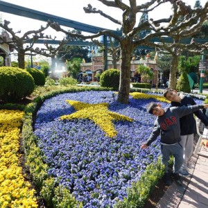 Europa Park