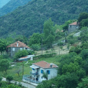 Ανθόφυτο