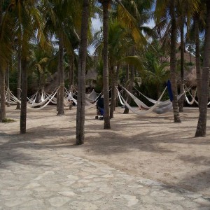 XEL HA