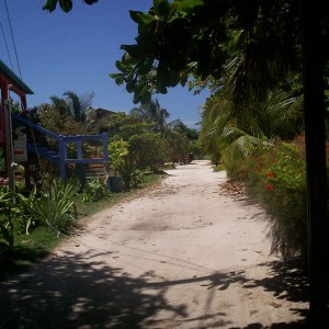 AMBERGRIS CAYE