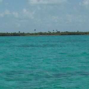 CAYE CAULKER