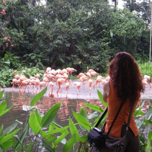 JURONG BIRD PARK