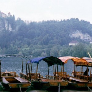 Bled