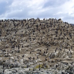 Ushuaia, Argentina