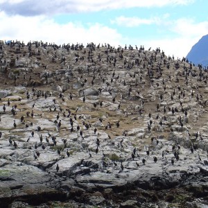 Ushuaia, Argentina