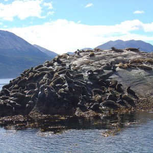 Ushuaia, Argentina