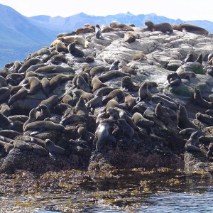 Ushuaia, Argentina