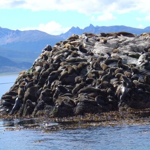 Ushuaia, Argentina