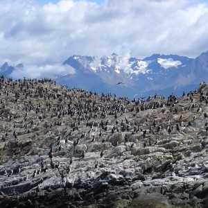 Ushuaia, Argentina