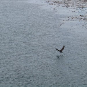 Ushuaia, Argentina