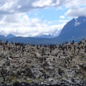 Ushuaia, Argentina