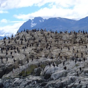 Ushuaia, Argentina