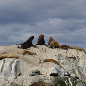 Ushuaia, Argentina