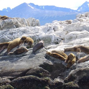 Ushuaia, Argentina