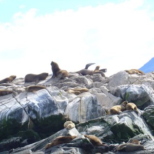 Ushuaia, Argentina