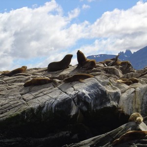 Ushuaia, Argentina