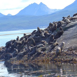 Ushuaia, Argentina