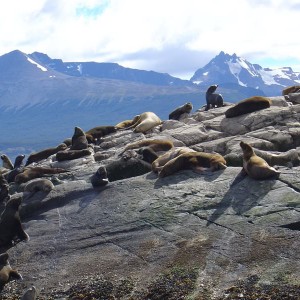 Ushuaia, Argentina